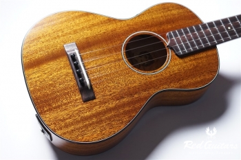 AM-T-E・KIYOSAKU #878